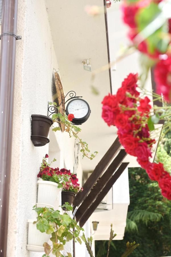 אוהריד Eke Irin Apartments מראה חיצוני תמונה